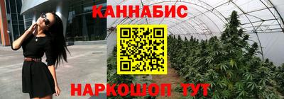 шишки Ковров