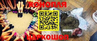 шишки Ковров