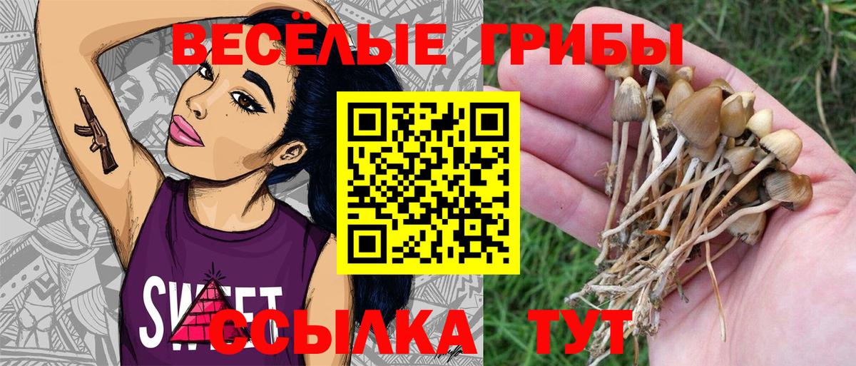 Галлюциногенные грибы мицелий  Галлюциногенные грибы MAGIC MUSHROOMS  Миасс  Вход с VPN 